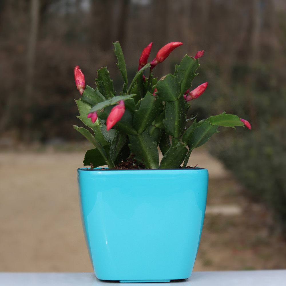 ��������������