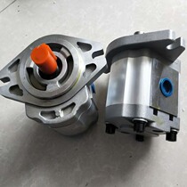 Gear oil pump CBF-F420 CBF-F425 CBF-F432 CBF-F440 CBF-F450-ALP L