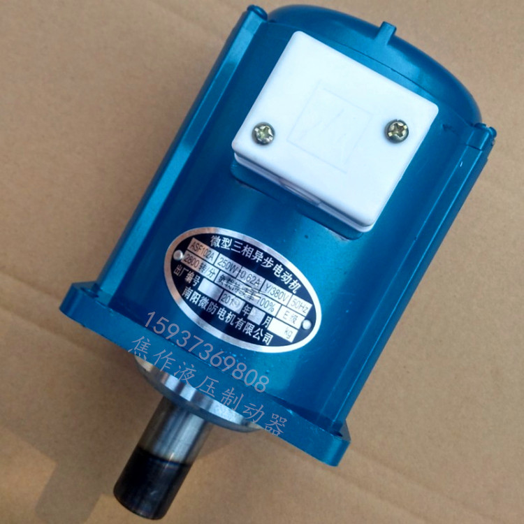 60W 80W 220V 380V teaching micro vertical secondary 2800 to three-phase asynchronous motor