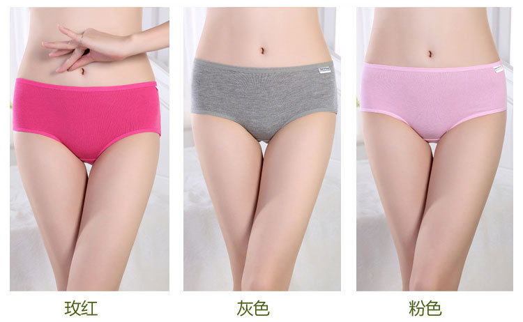 Slip jeunesse en coton - Ref 640111 Image 8