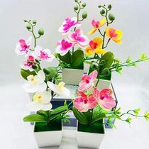 Decorative DIY Phalaenopsis Orchid Simulation Potted Flower