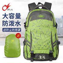 Traveling Backpack Outdoor Mountaineering Bag Mens Large Capacity Waterproof Lightweight Shoulder Bag Womens Hiking Travel Oversized Travel Bag