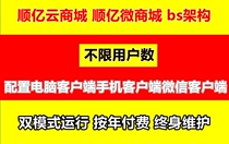 Mall production Website production Interface docking Financial software Invoicing software Secondary development Cloud service deployment