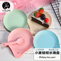 Water drop plate cake dinner plate with birthday party dessert cake dinner plate five people custom LOGO