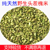 Chinese herbal medicine pure natural locust rice sophora rice white sophora pomace rice tea Huaimi fried sophumi 500 gr