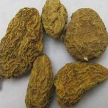 Golden fruit and bitter gallbladder nine cattle gallbladder gold gallbladder 500 grams