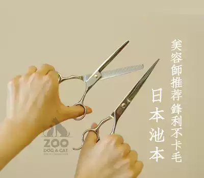 ZOO│Japan Ikemoto pet professional beauty, shearing, straightening, tooth cutting, cat and dog scissors, shaping, combing