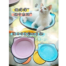 ZOO | Rainbow Steps ~ Kitty Hammock With Cuppa Cuppa Type Autumn Kilo Glass Windows Cat Pan Kitty Sunburn