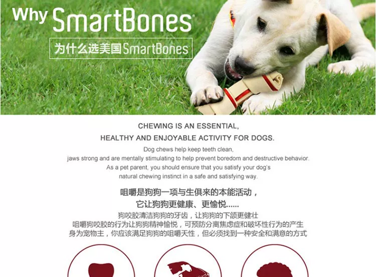 Smartbones dog mol mol dog nhai gậy ăn nhẹ 50 gậy chống chó nhỏ cắn Teddy - Đồ ăn vặt cho chó hạt smartheart