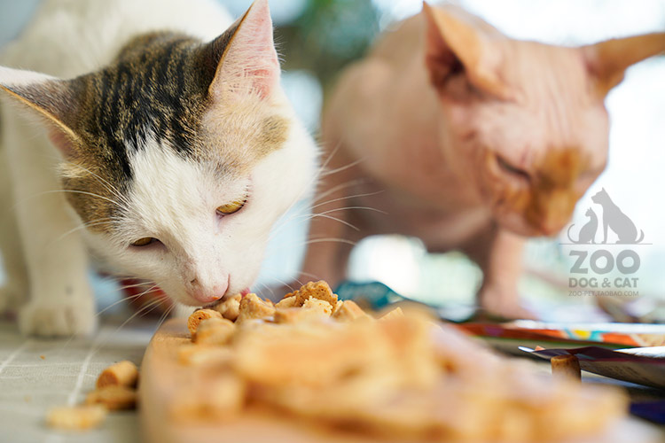 Zoo│ Inabao Cat Snacks Thịt nướng Gà cuộn Hải sản nướng Cat Snacks Đồ ăn ngon không thể dừng lại! bán thức ăn cho mèo