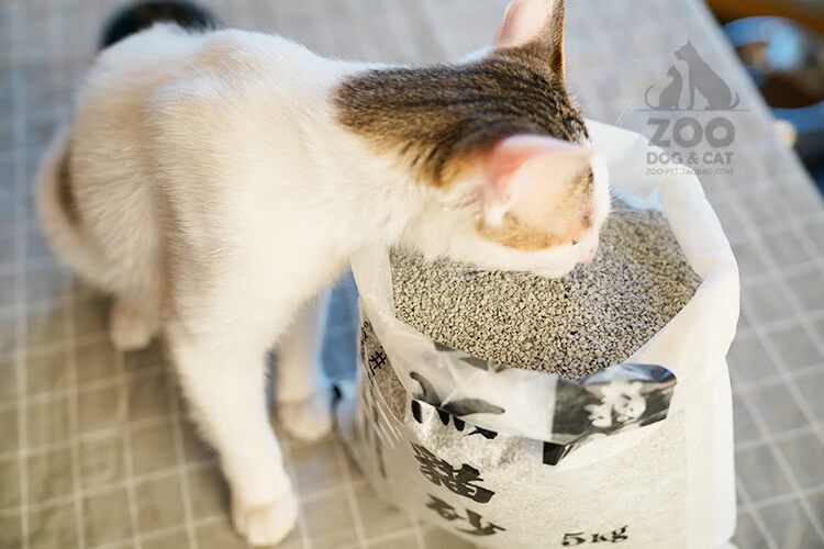 Zoo benteite mèo xả bụi khoáng thấp mèo xả rác mèo xả rác 5kg - Cat / Dog Beauty & Cleaning Supplies găng tay loại bỏ lông thú cưng