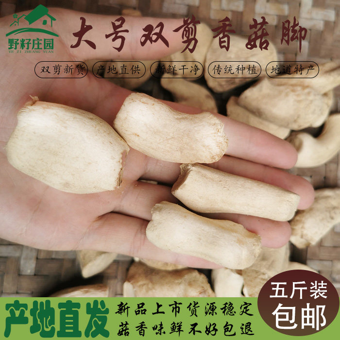 Mushroom Foot Dry Goods Big double cut dry selected polished without impurities Yunnan Mushroom Root Five Kilos-Taobao