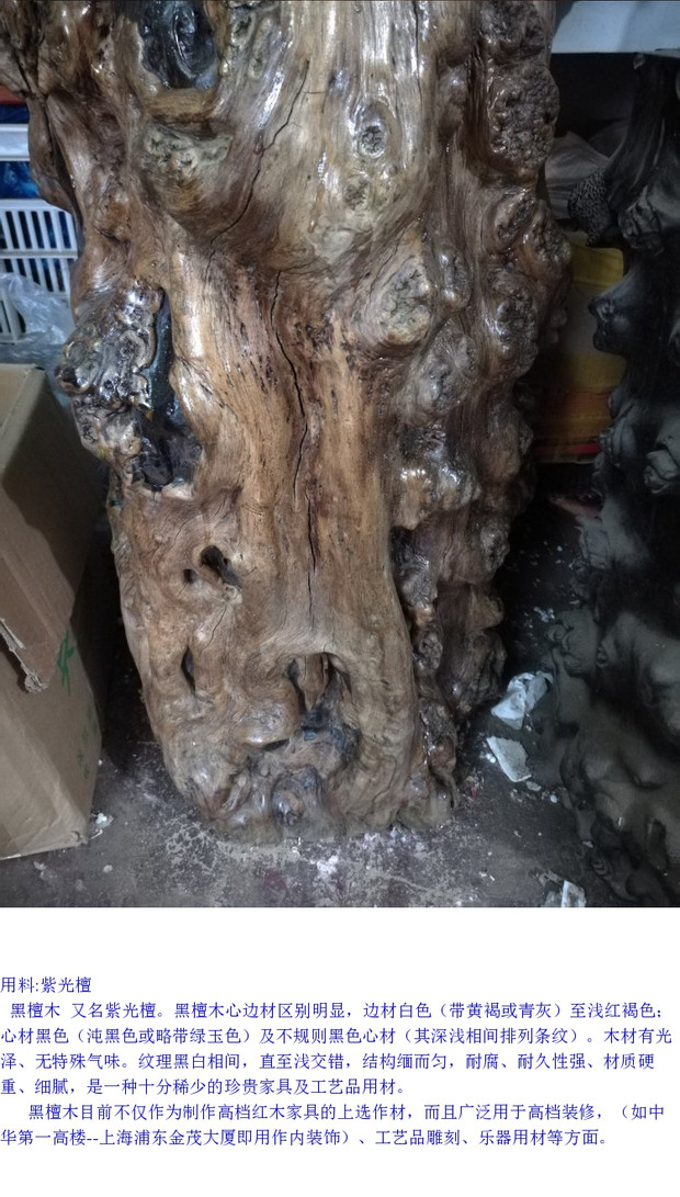 Trẻ mồ côi, gỗ đàn hương tím, chạm khắc gỗ gốc, phòng khách, trang trí văn phòng, gỗ đàn hương đen, kệ gỗ cây cảnh - Các món ăn khao khát gốc bàn ghế gốc cây đẹp nhất
