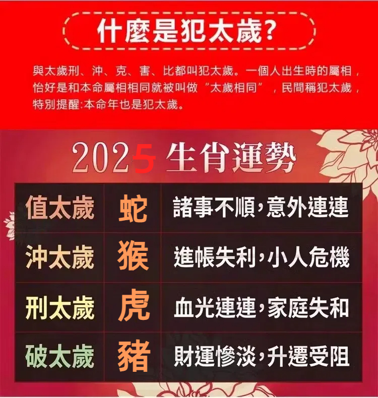 O1CN010FO7Zg2CRm5s3mJZm_!!1038818471 (1).jpg