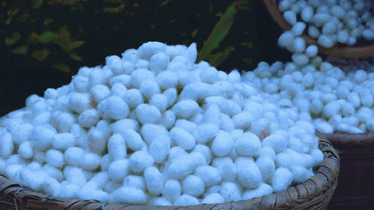 08.gif