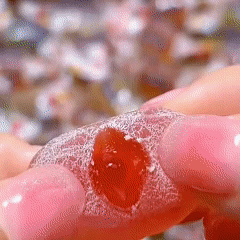 10.gif