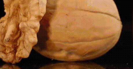 20250505_182654_009.gif