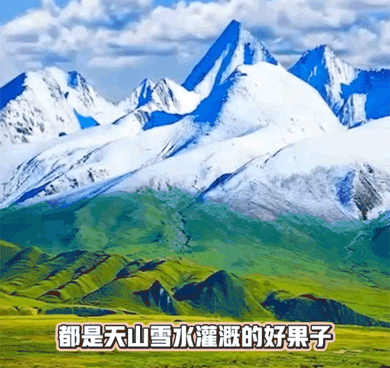 P_006.gif
