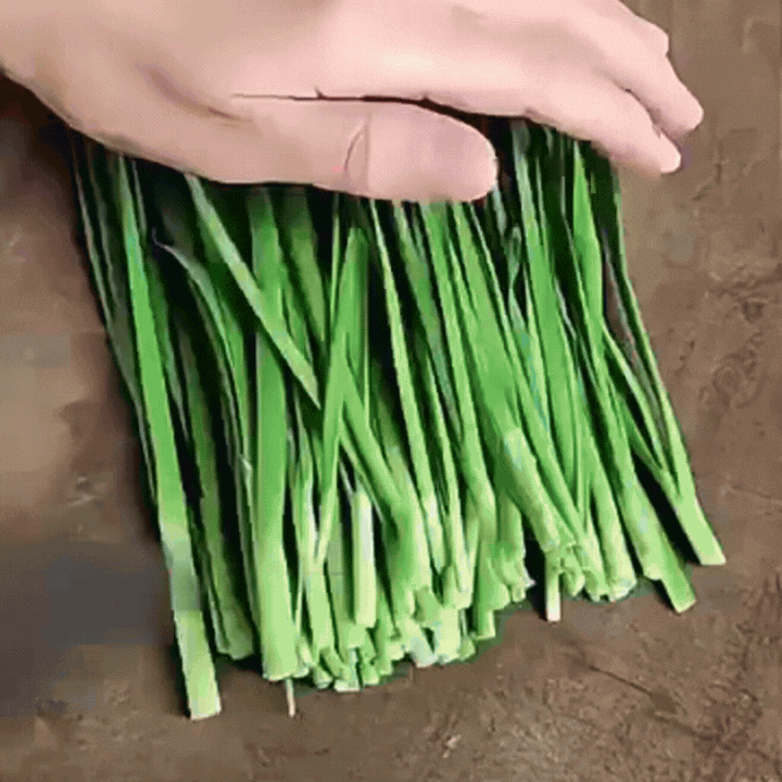 13400144102042833.gif