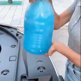 12.gif