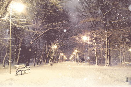 20241224_093042_010.gif