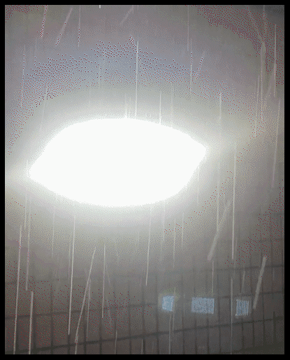 20251117_160648_008.gif