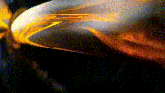1031.gif