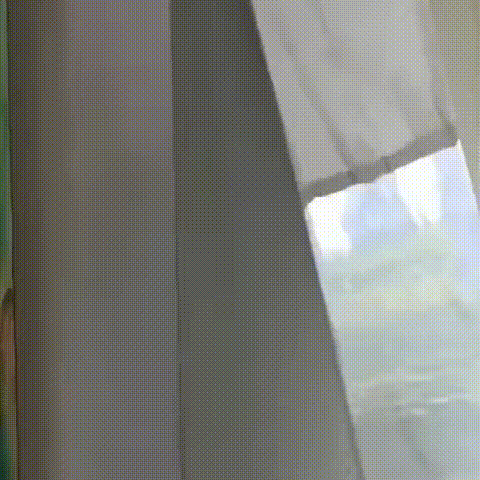 12.gif