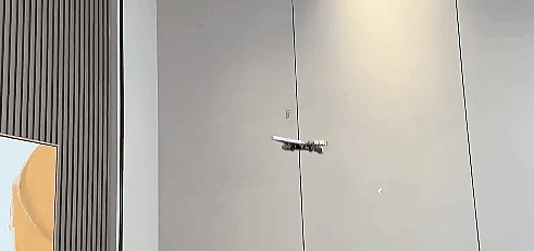 P_028.0 (2).gif