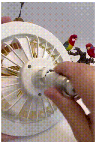 13.gif