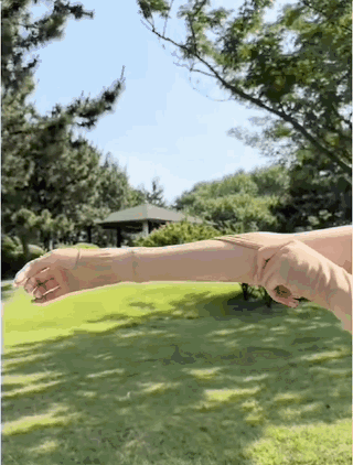 10008.gif