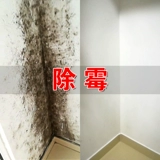 Глубокоддективная стенка стены дезодорит очистка плесени очищающе