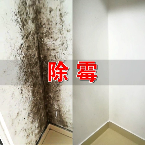 Глубокоддективная стенка стены дезодорит очистка плесени очищающе