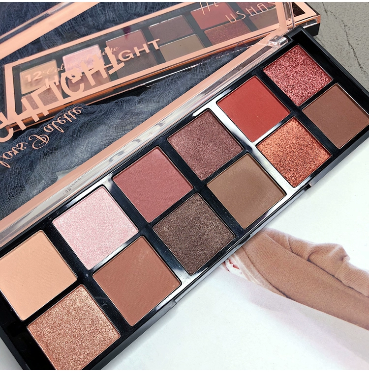 Xuất khẩu Dubai USHAS Pearlescent Matte Daily Wild Earth Color 12 Color Eyeshadow Palette Rust Red Pumpkin Color