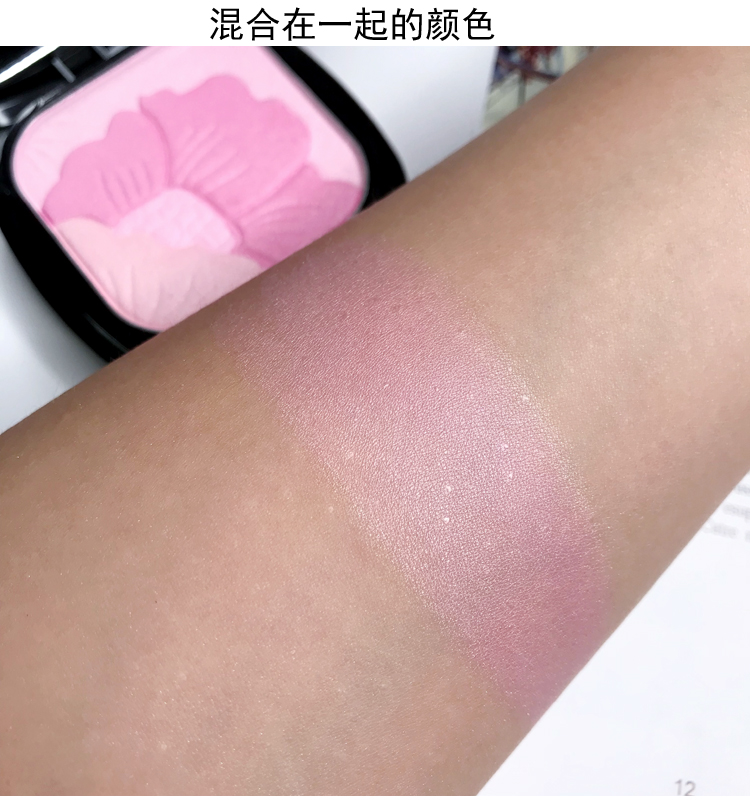 Xuất khẩu sang Dubai! Febble cô gái ba chiều khắc cánh hoa gradient blush rouge điểm nổi bật bột sáng bảng má kryolan