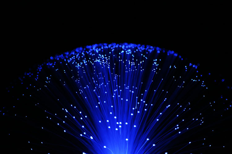 Fiber Optic Light 8