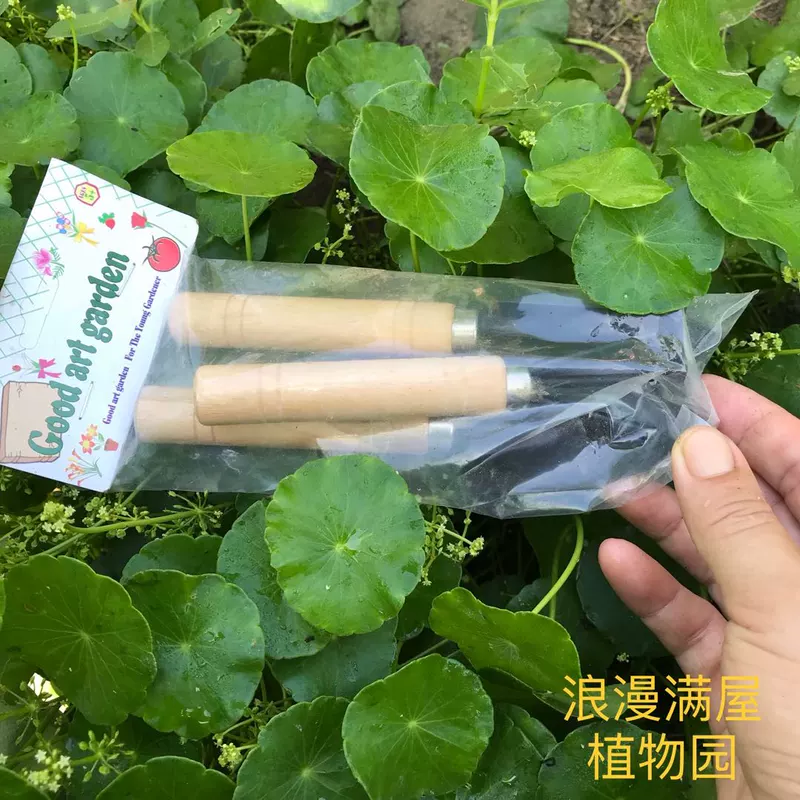 Xẻng làm vườn cung cấp đào ba mảnh nhỏ ban công hộ gia đình trồng hoa dụng cụ ngoài trời bằng gỗ xử lý xẻng thịt - Nguồn cung cấp vườn dụng cụ làm vườn