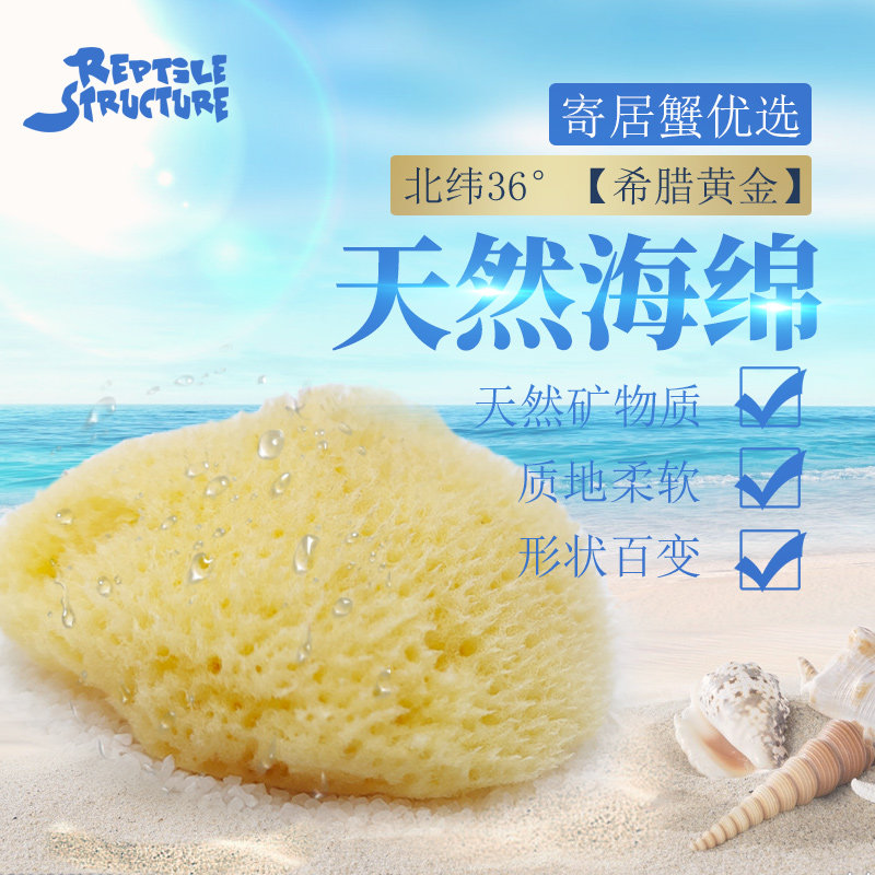 Consignment of crab pets Greece Aegean imports edible anti-drowning water drinking water natural sponge reptile drinking water basin