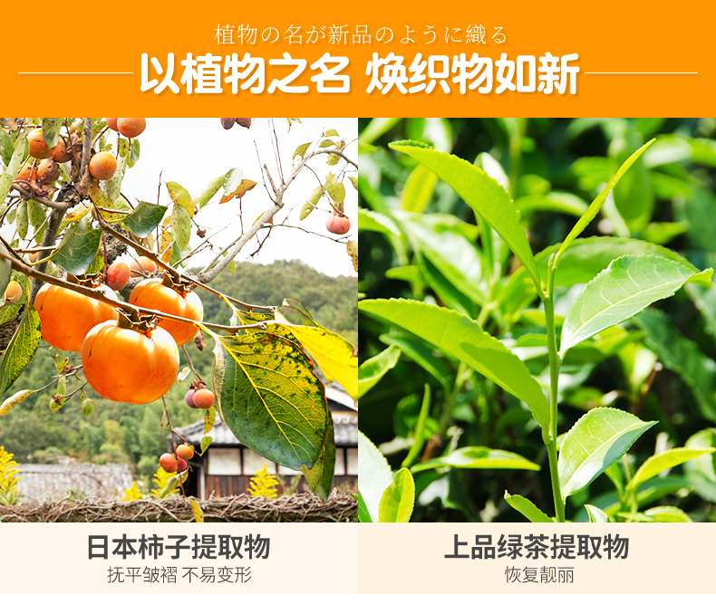 Ánh nắng mặt trời nhập khẩu tươi mềm làm mềm quần áo chăm sóc nước hoa máy giặt tay để giảm giặt tĩnh - Phụ kiện chăm sóc mắt nước giặt thái
