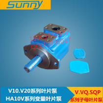 United States Sonnies sunny20V-3-1A-22 Series High Pressure Child Vessel Pump Special
