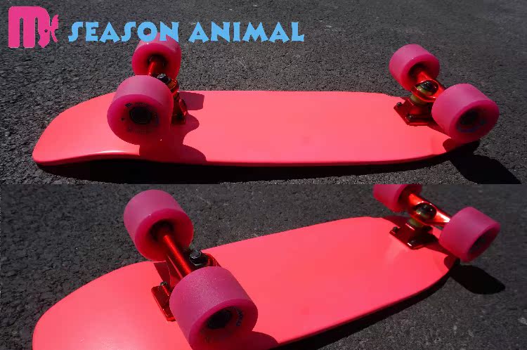 Skateboard pour homme femme SEAASON - Ref 2594519 Image 11