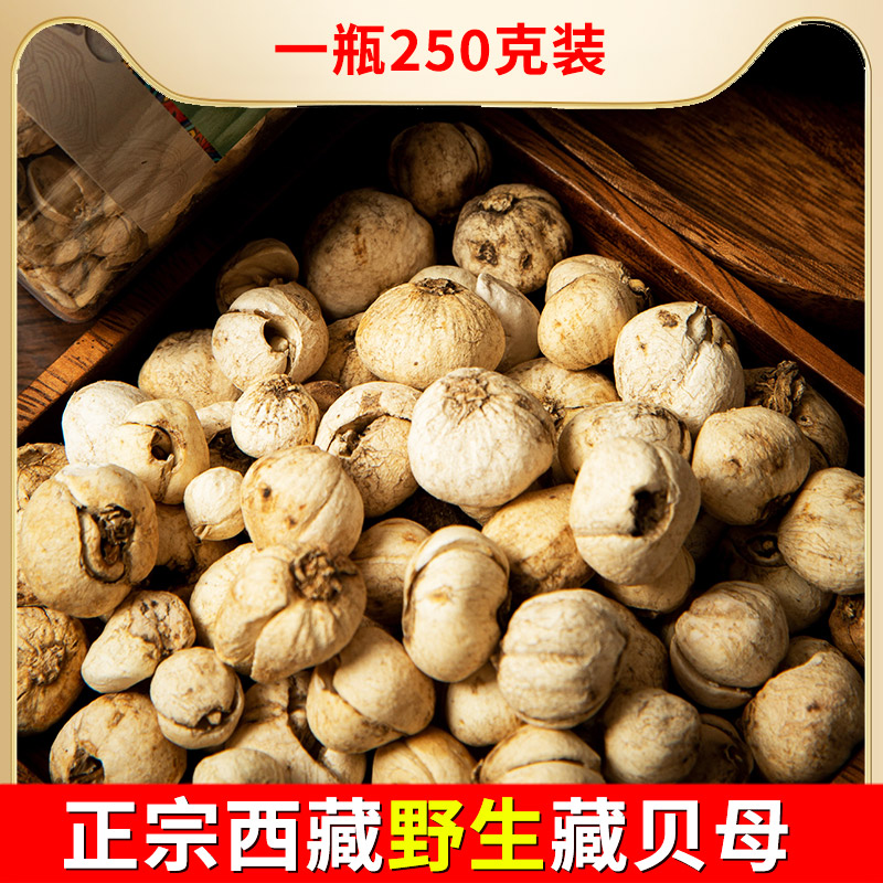 Tibetan wild Naqu Tibetan Sichuan Fritillaria non-Sichuan Chuan Fritillaria non-Pingbei Songbei loquat cream 250g can be ground