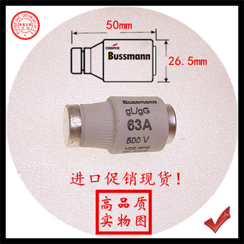5SB431 US brand Bussmann 63A 500V gG gL fuse fuse length 50mm