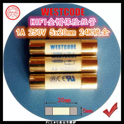 European WESTCODE 1A 250V 5x20 HIFI gold cap silver silk CD bile machine power amplifier fuse tube