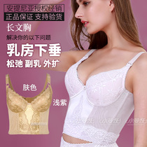 Antinia plastic body underwear female receiving milk stomach anti-sagging upper support gathering adjustment long bra beautiful back