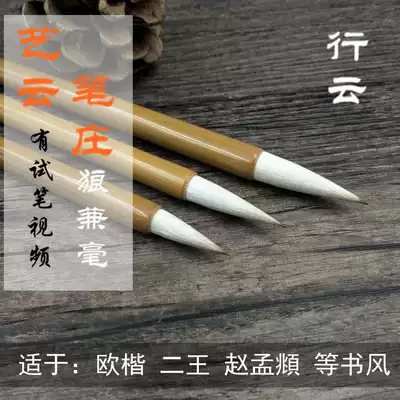 Yiyun Pen Zhuang Zhongxingyun Xiaoxingyun Beginner brush wolf and two Kings calligraphy