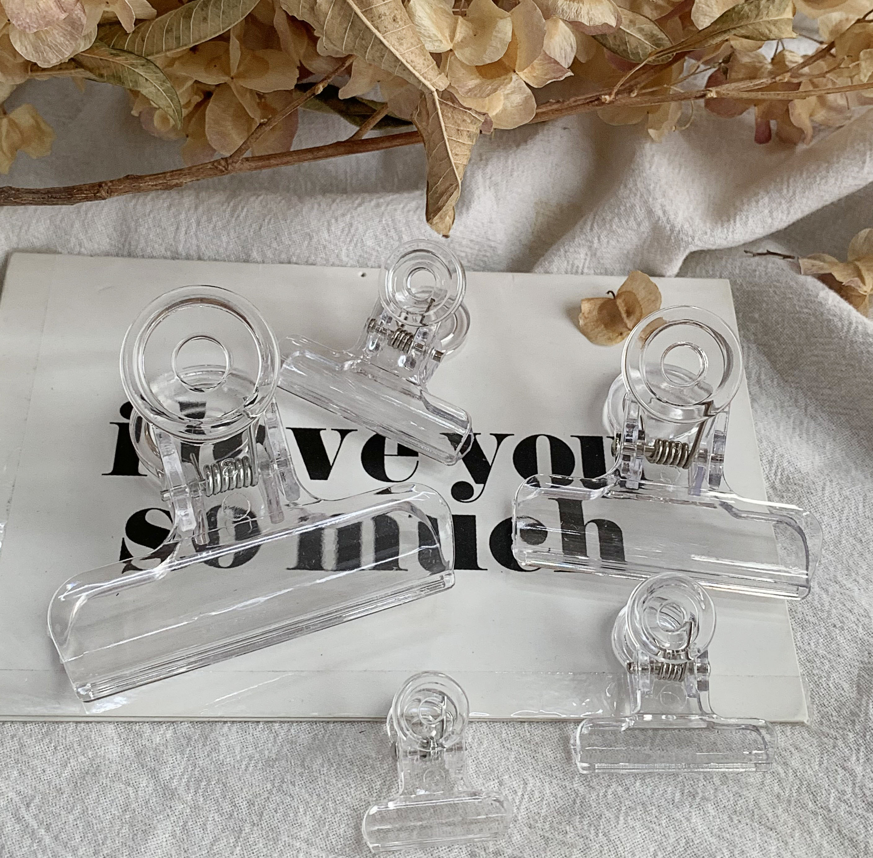 Ins Wind Creative Transparent Small Clip Ticket Clip Long Tail Clip Snack Sealing Clip Student Office Bill Test Paper Binding