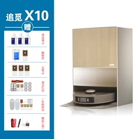 X10+410 Подарочный пакет+чистящий раствор*3+пакет для пыли*3+один год расходных материалов