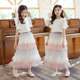 Girls mesh skirt 2022 summer children's clothing girl cake skirt big child princess tutu skirt mid-length skirt