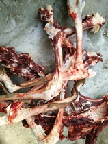 Jilin sika deer sika deer spine deer bones fresh deer bone